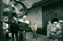 STOCKHOLM: Skansen Animals Elephants - Vintage Photograph