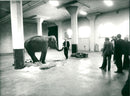 STOCKHOLM: Skansen Animals Elephants - Vintage Photograph