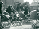 STOCKHOLM: Skansen Animals Elephants - Vintage Photograph