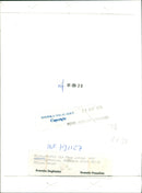 STOCKHOLM: Skansen Animals Elephants - Vintage Photograph