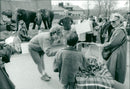 STOCKHOLM: Skansen Animals Elephants - Vintage Photograph