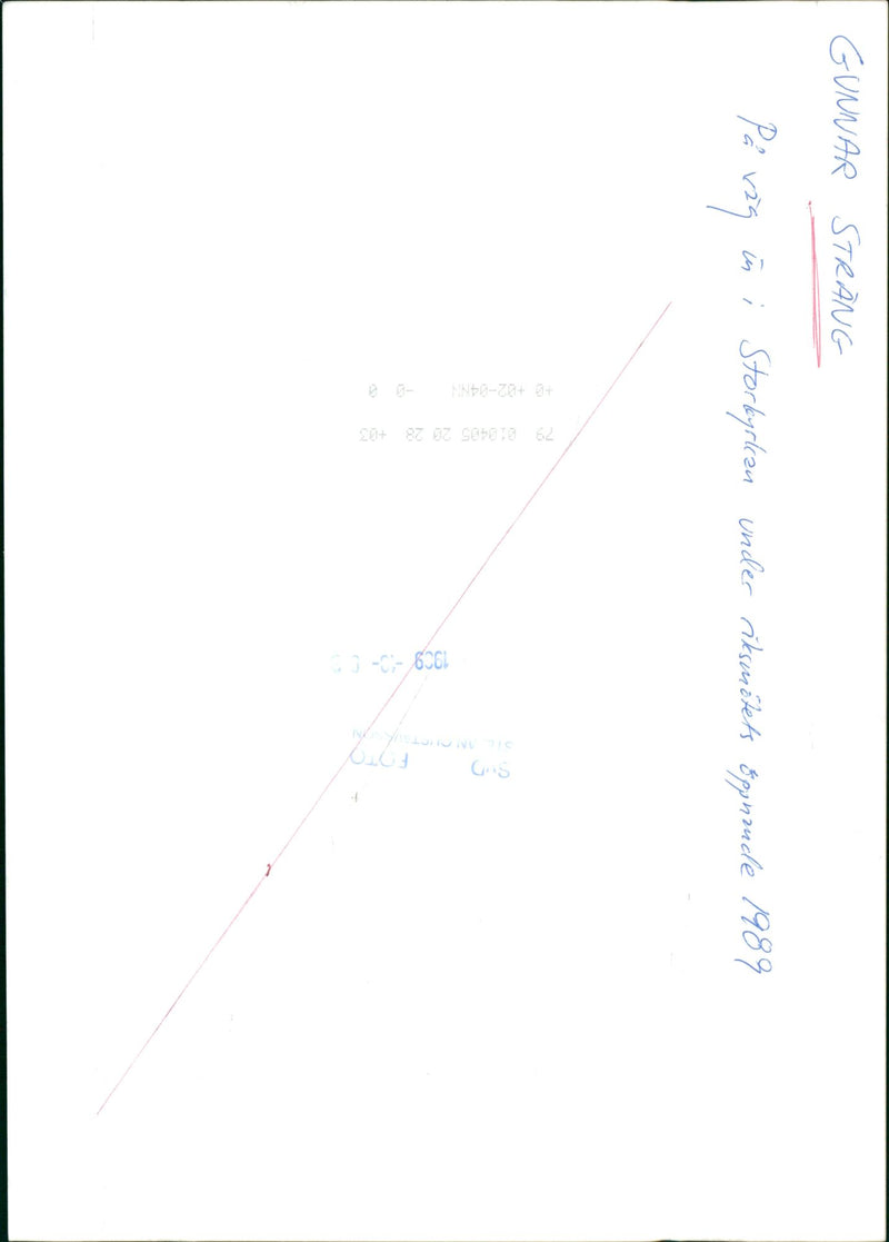 Swedish politician Gunnar Strang - Vintage Photograph