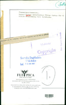 Swedish politician Gunnar Strang - Vintage Photograph