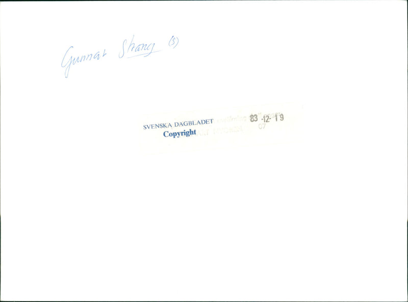 Swedish politician Gunnar Strang - Vintage Photograph