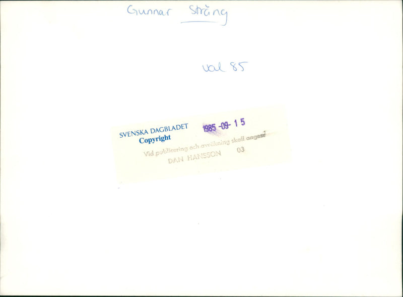 Swedish politician Gunnar Strang - Vintage Photograph