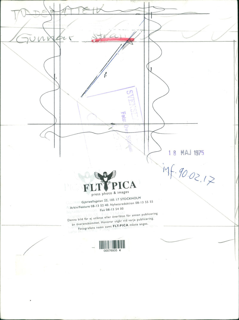 Swedish politician Gunnar Strang - Vintage Photograph