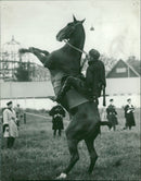 Stockholm exhibition 1930