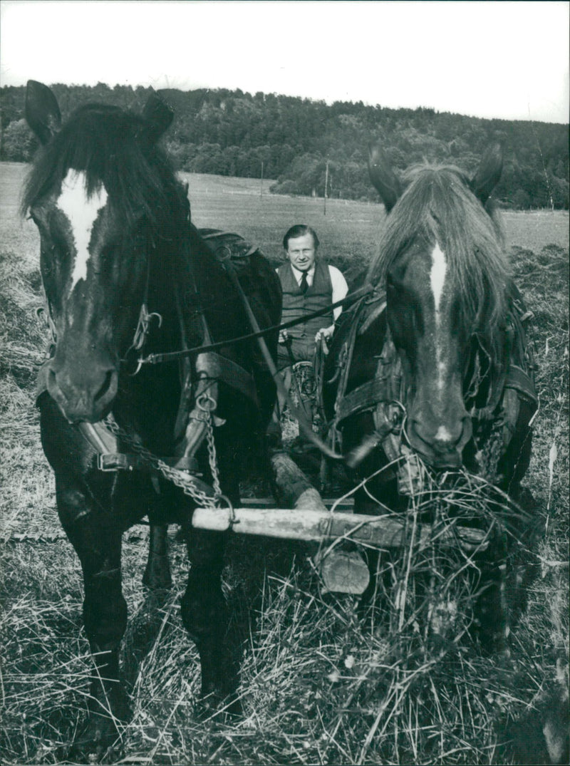 Gunnar Sträng with horse carriage - Vintage Photograph