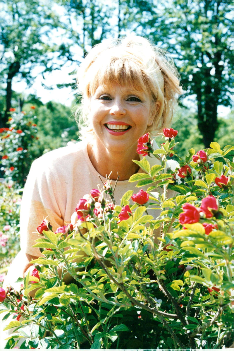 Meg Westergren - Vintage Photograph