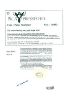 1995 SWEDEN PICA RESPONSIBLE FUTUE IMAGE DELIVEY AFTE LEIF JANSSON POET PETER - Vintage Photograph