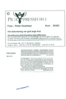 1995 SWEDEN PICA RESPONSIBLE FUTUE IMAGE DELIVEY BLFS LEIF JANSSON POET PETER - Vintage Photograph