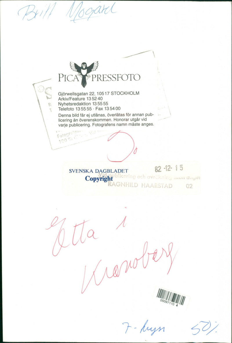 Britt Mogård Swedish Politician - Vintage Photograph