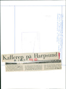 Britt Mogård Swedish Politician - Vintage Photograph