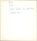 Isuzu Cars - Vintage Photograph