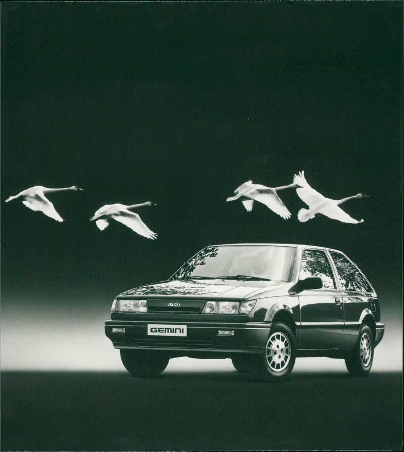 Isuzu Cars - Vintage Photograph