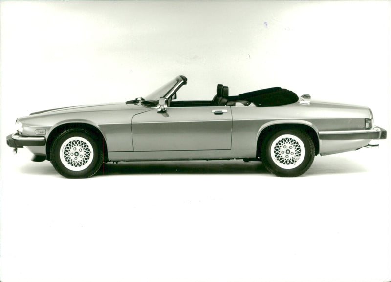Jaguar Cars - Vintage Photograph