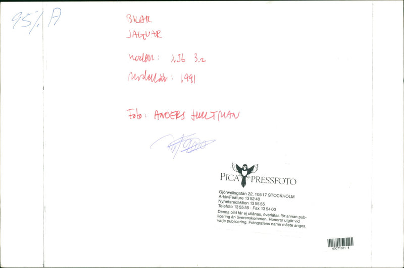 Jaguar Cars - Vintage Photograph