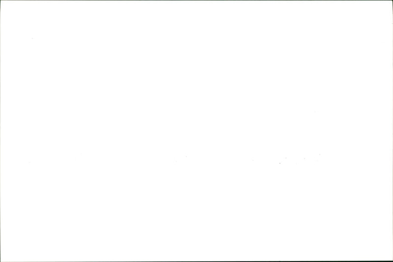 Jaguar Cars - Vintage Photograph