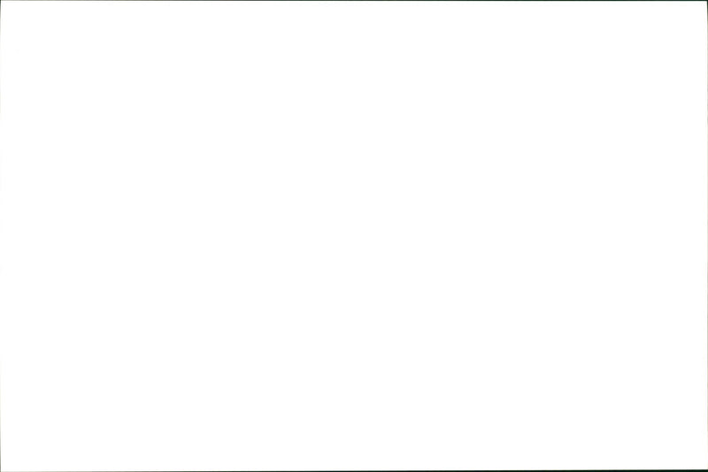 Jaguar Cars - Vintage Photograph