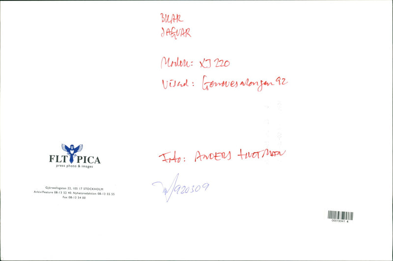 Jaguar Cars - Vintage Photograph