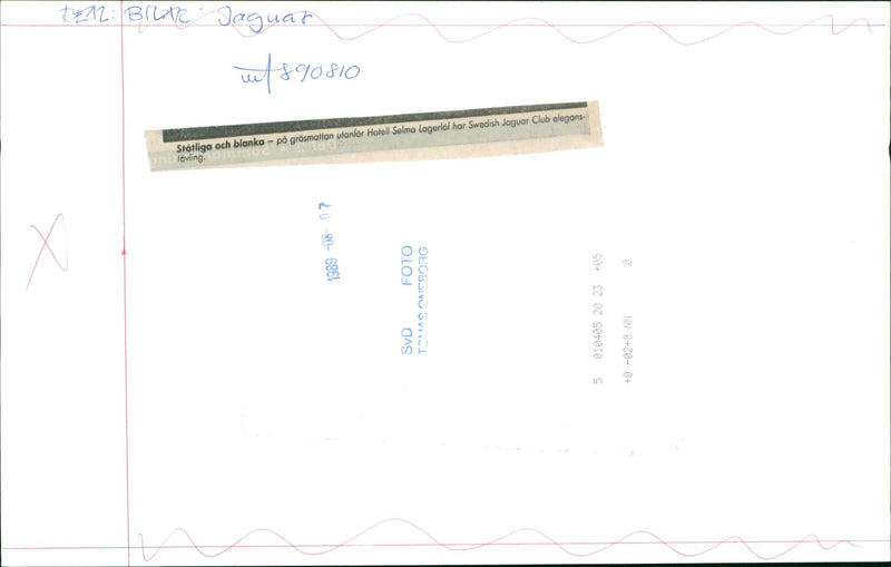 Jaguar Cars - Vintage Photograph