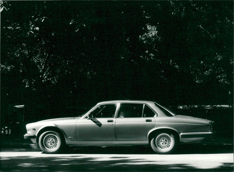Jaguar Cars - Vintage Photograph