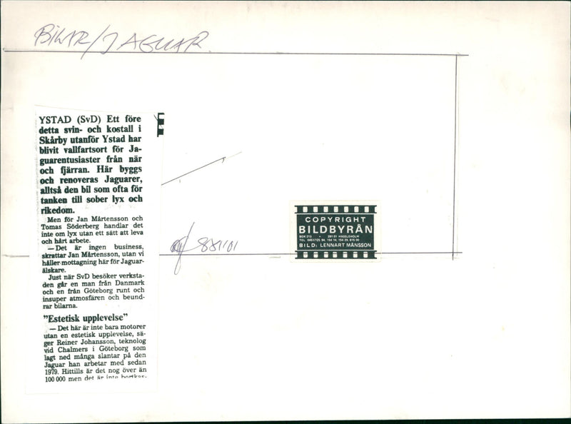 Jaguar Cars - Vintage Photograph