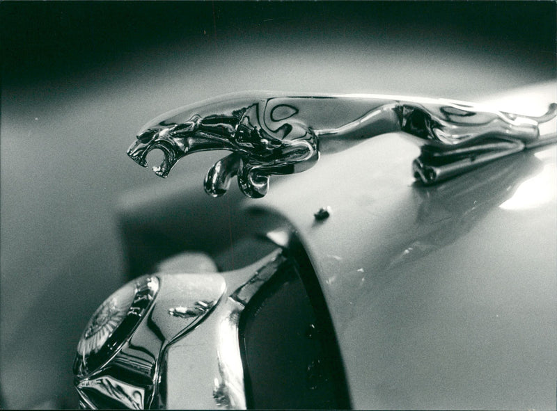 Jaguar Cars - Vintage Photograph