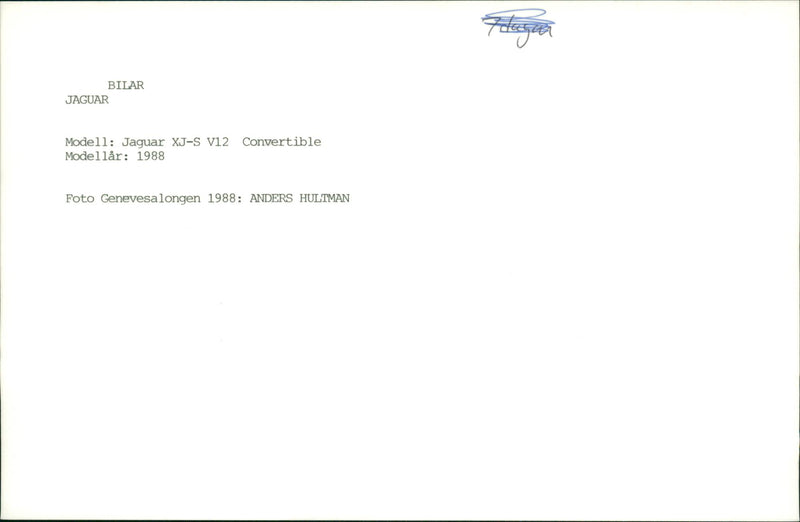 Jaguar Cars - Vintage Photograph