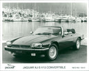 Jaguar Cars - Vintage Photograph