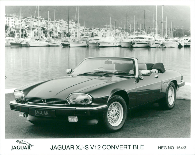 Jaguar Cars - Vintage Photograph
