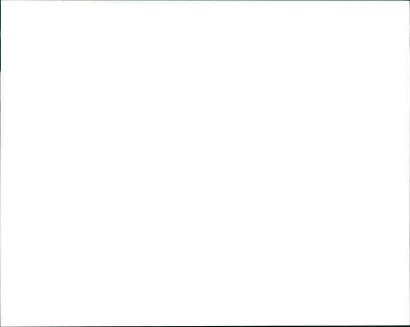 Jaguar Cars - Vintage Photograph