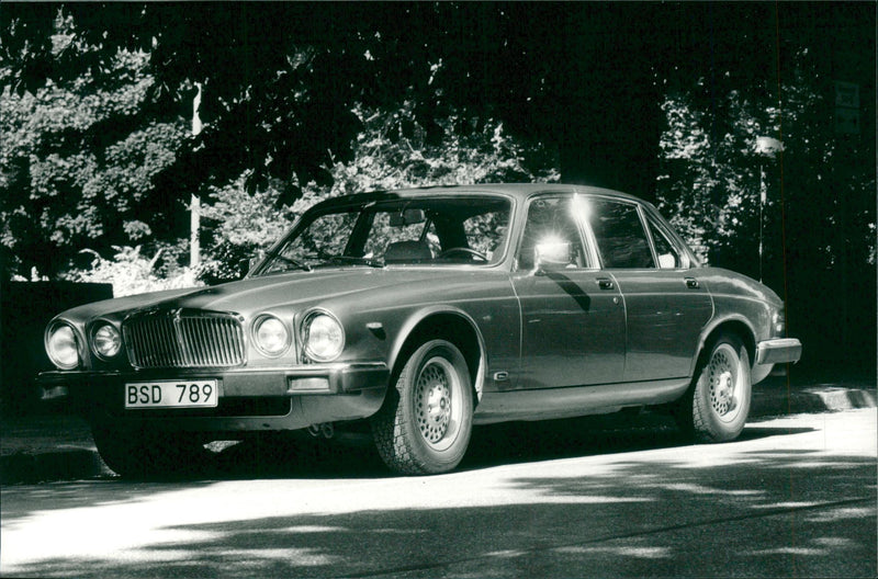 Jaguar Cars - Vintage Photograph