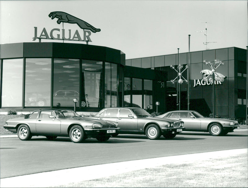 Jaguar Cars - Vintage Photograph