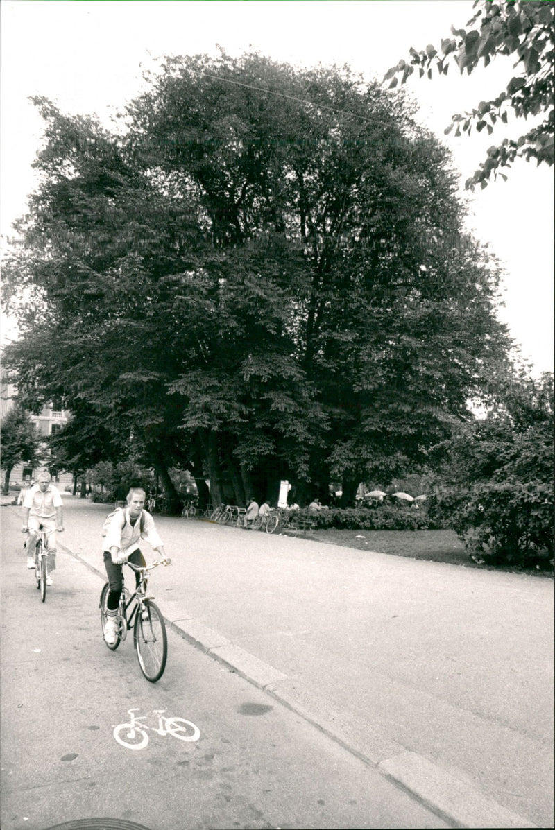 Stockholm KUNGSTRÄDGARDEN 1970 - Vintage Photograph