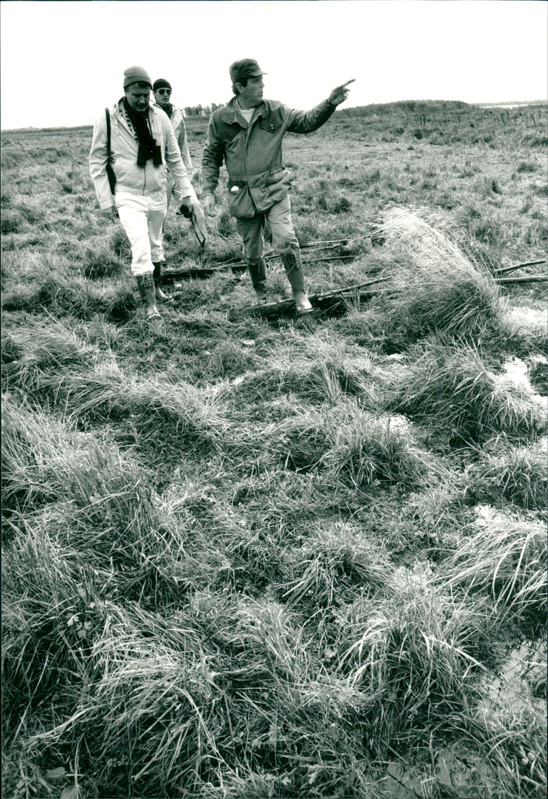 Tåkern lake - Vintage Photograph