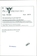 Mazda 626 - Vintage Photograph