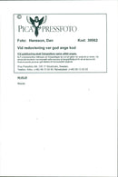 Mazda - Vintage Photograph