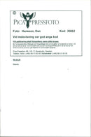 Mazda - Vintage Photograph