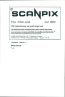 Mazda MX-5 Cabriolet - Vintage Photograph