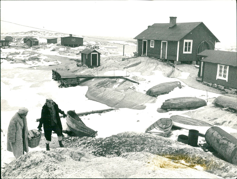Winter landscape - Vintage Photograph