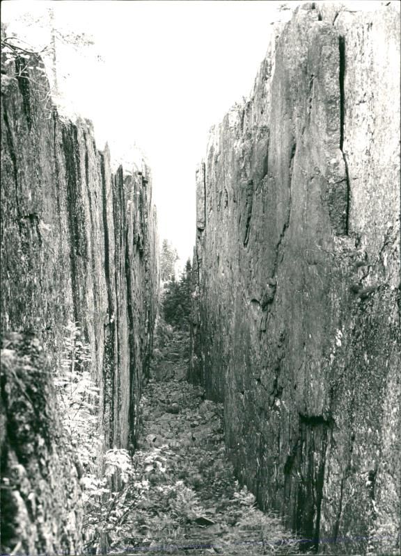 SKULEBERGET / SKULESKOGEN (National Park) - Vintage Photograph