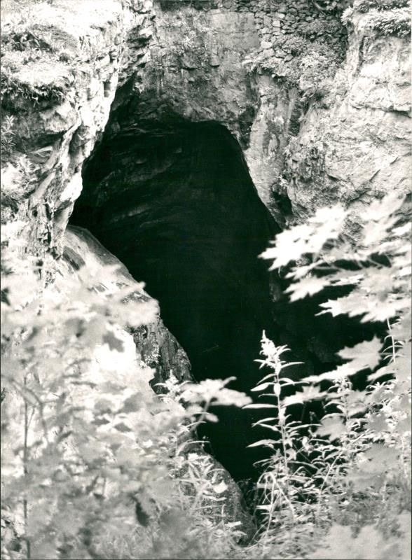 SWEDEN: SKOTTVÅNGS COUNTY - Vintage Photograph