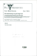 Volvo cars in action - Vintage Photograph