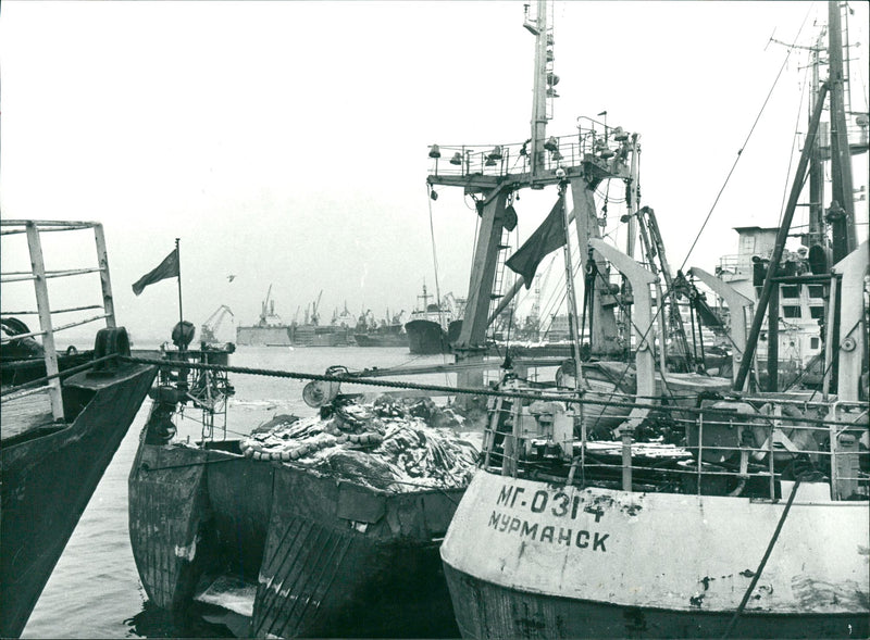 Murmansk - Vintage Photograph