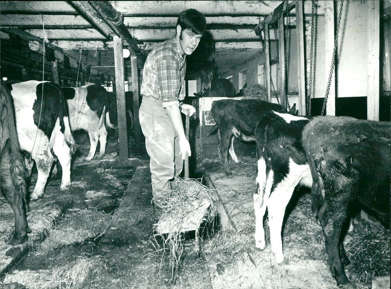 Karl Erik Olsson, politician - Vintage Photograph