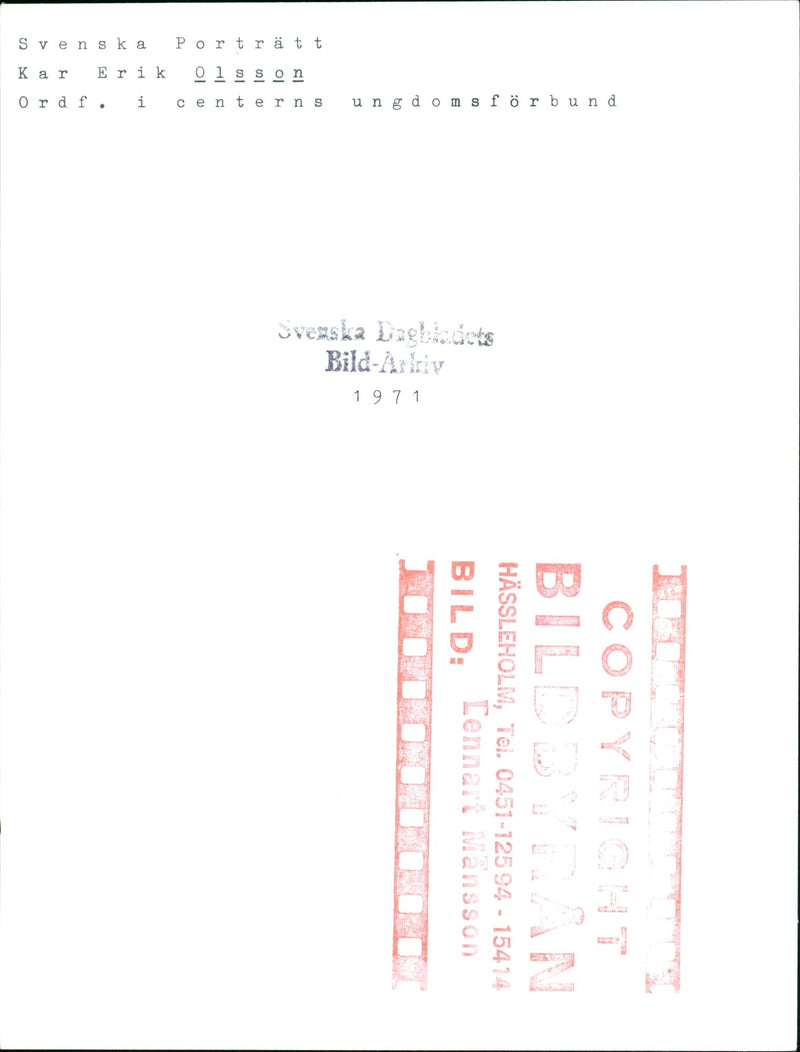 Karl Erik Olsson, politician, with cows. - Vintage Photograph