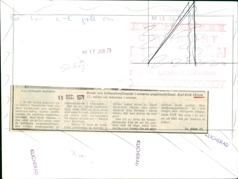 Karl Erik Olsson, politician, with cows - Vintage Photograph