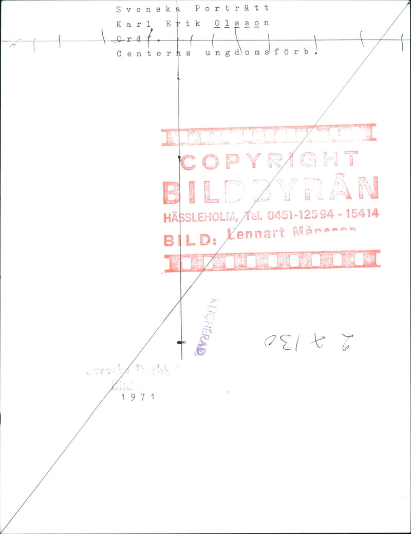 Karl Erik Olsson, politician, with cows - Vintage Photograph