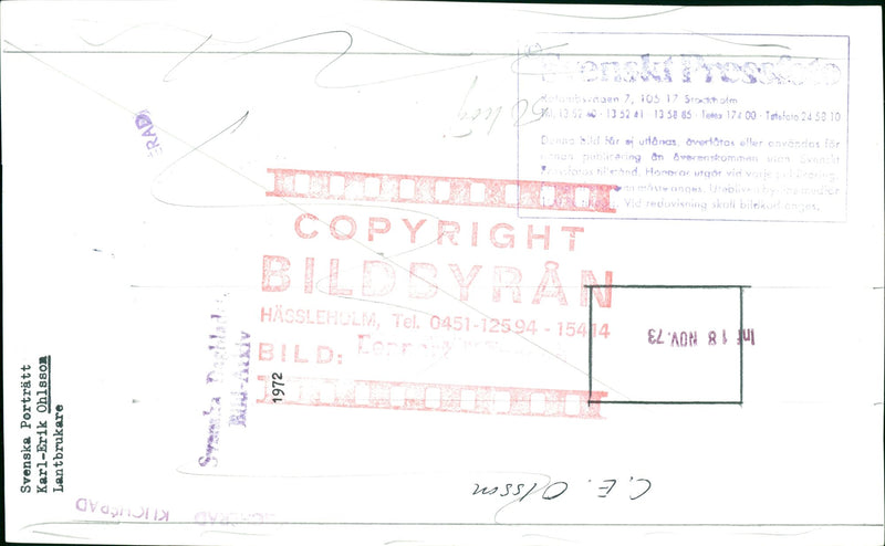 Karl Erik Olsson, politician, with cows - Vintage Photograph